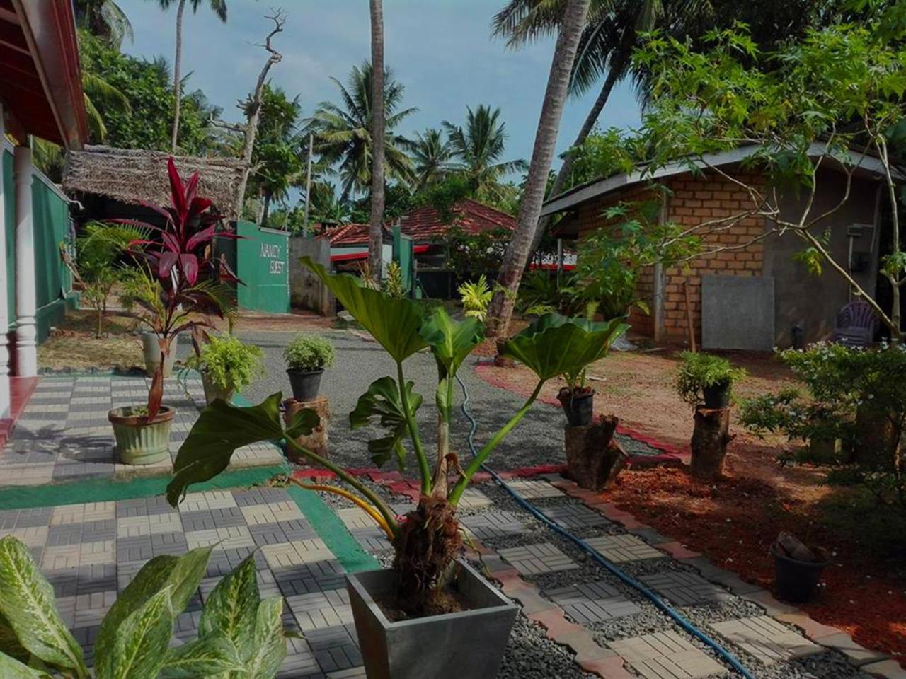 Nancy Guest Hotel Mirissa Ngoại thất bức ảnh