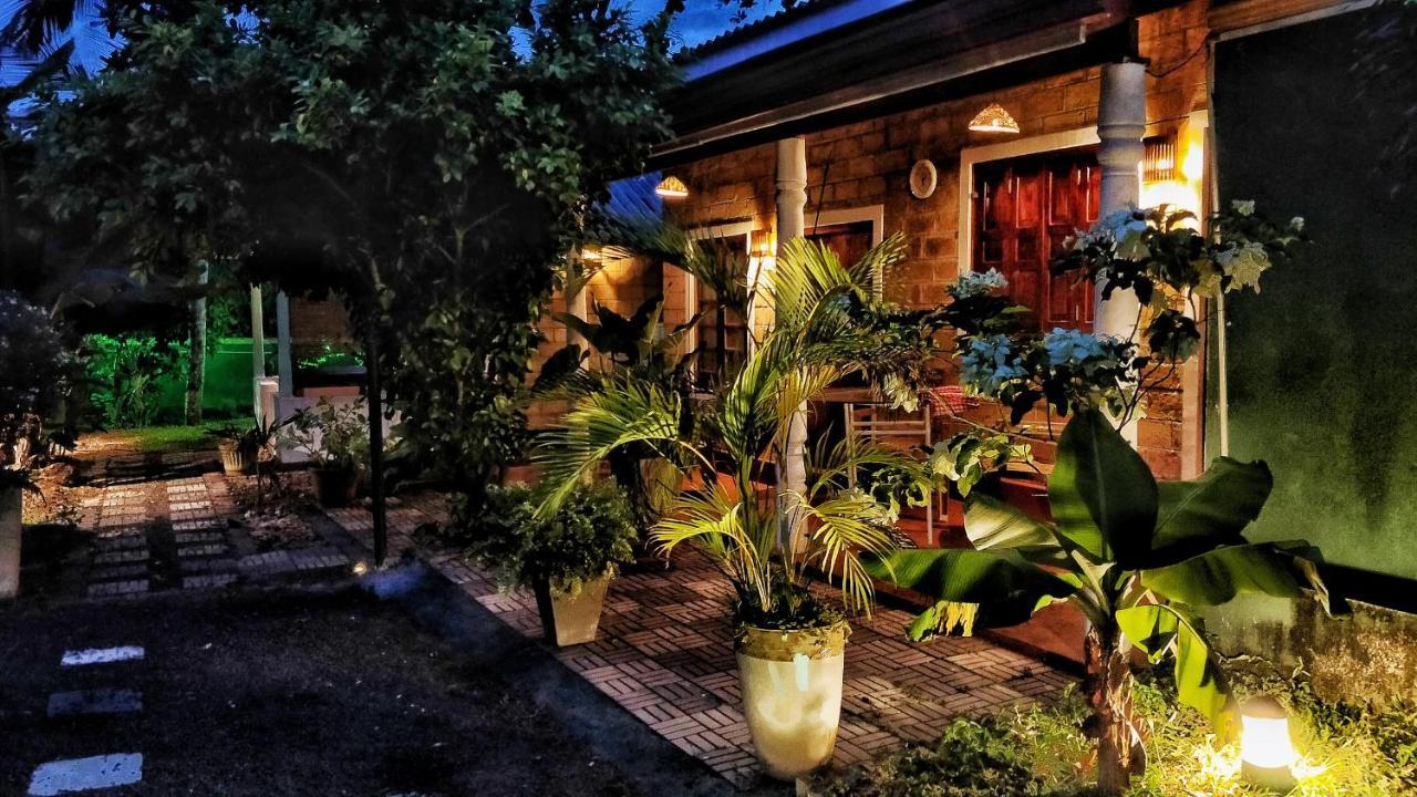 Nancy Guest Hotel Mirissa Ngoại thất bức ảnh